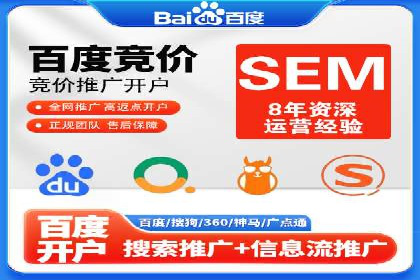 行业领先的SEM策略：成功案例与经验分享